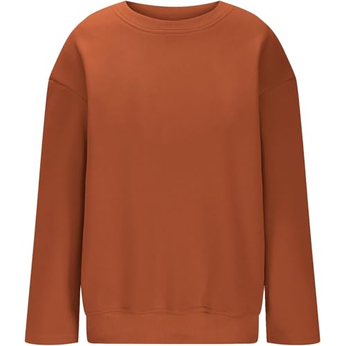 Kids Boys Girls Crewneck Sweatshirt Cute Solid Color Lightweight Soft Fleece Long Sleeve Fall Winter Pullover Tops2