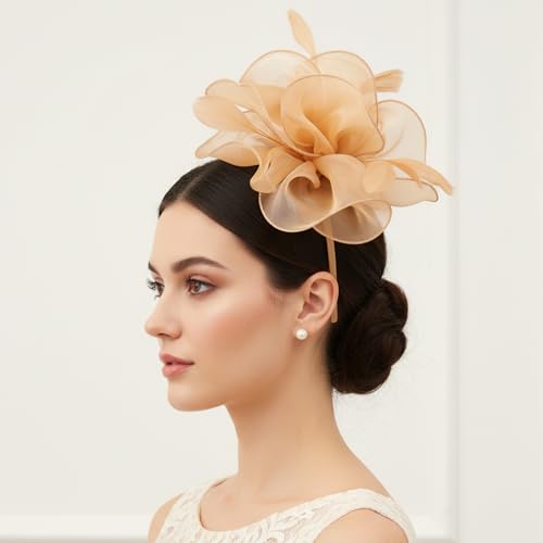 Image of DRESHOW Fascinators Hat Tea Party Headwear Ribbons Feathers on a Headband and a Clip for Women