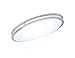 Green Beam LED Light Fixture, Flush Mount Light Fixture, Brushed Nickel Light Fixture, Kitchen Light Fixtures, Bathroom Ceiling Light Fixture, 58W, 4000K Natural Light, 5000 Lumens, 32 Inch Oval