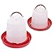 Mikikit Poultry Waterer Professional Chicken Duck Waterer Feeding Bottle Container with Carrying Handle for Chickens Ducks Birds Rabbits Pets 2Pcs