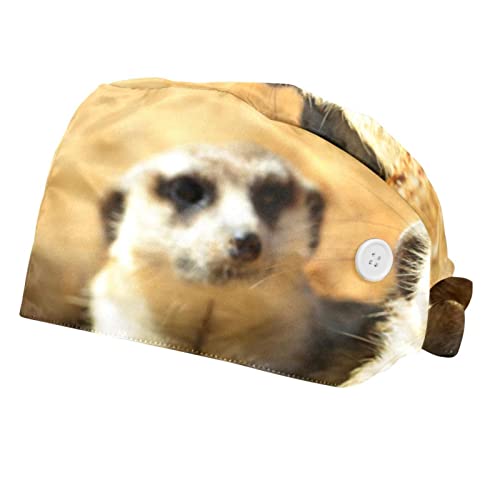 Chapeau de travail respirant lot de 2 casquettes bouffantes sur le thème suricate