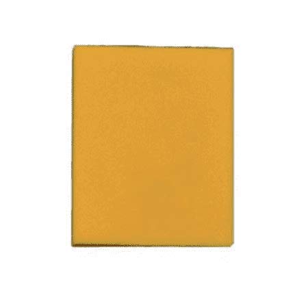 Filtre mousse Royal Dirt Devil pour un nettoyage maison sain