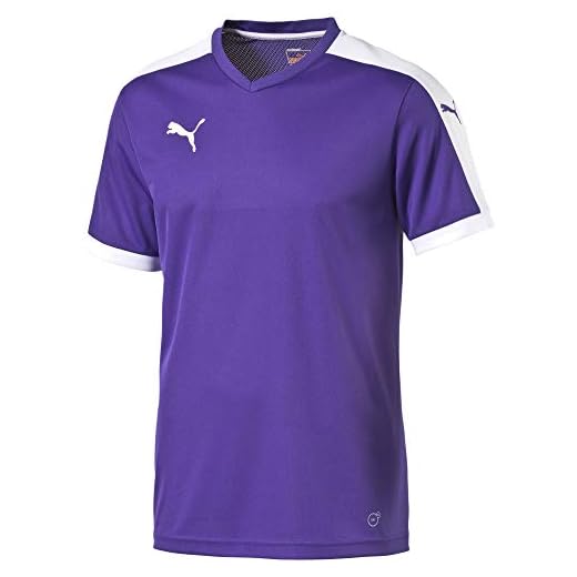 PUMA Pitch Shortsleeved Shirt Camiseta, Hombre, Morado (Team Violet/White), S