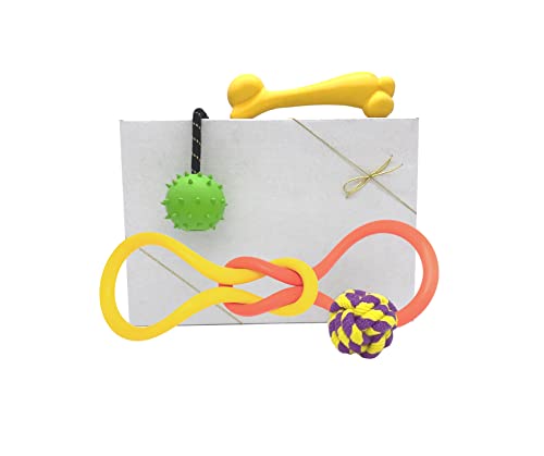 Assorted Toy Box for Medium to Large Dogs