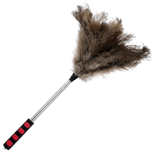Plumero de avestruz con mango telescópico de acero inoxidable, 52-100 cm, plumero con plumas de avestruz, estable, para limpiar lámparas, ventiladores de techo, ventanas, paredes, techos, esquinas