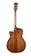 Cort Gold A6 Auditorium Cutaway NAT Electro-Acoustic Guitar