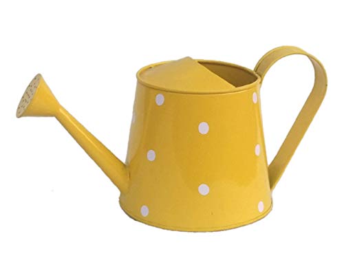 Railing Planter Impex Dotted 2 litres Metal planters Round Watering Can - Rust Free Home Decor Gifting, Garden, Gardening, Tools (Pack of 1, Yellow) (B083V6GN67) Amazon Price History, Amazon Price Tracker
