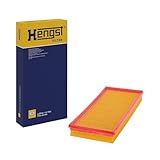 Hengst Air Filter