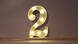 Lot de 2 lampes LED en métal blanc avec interrupteur et vis en métal de 31 x 28 x 5 cm (ALPHABET).
