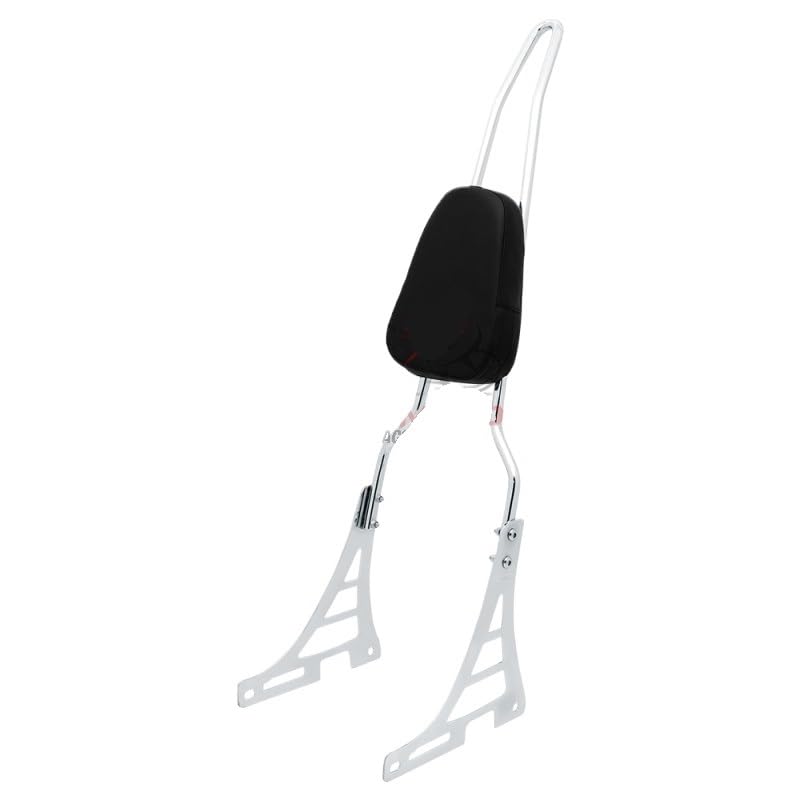 Support passager haut de gamme et coussin de dossier pour Sportster XL 883 et Forty Eight