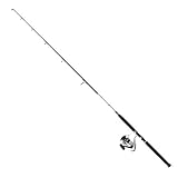 Daiwa Combo Set Jigging DW04-180, 100-300