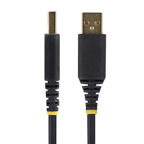Câble FTDI USB vers RS232 StarTech pour éviter les pertes COM - 3