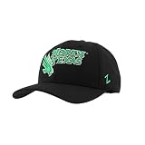 North Texas Mean Green NCAA Officially Licensed Snapback Hat Competitor Black