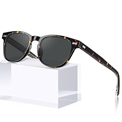 2-1. Tortoise Frame Gray Lenses