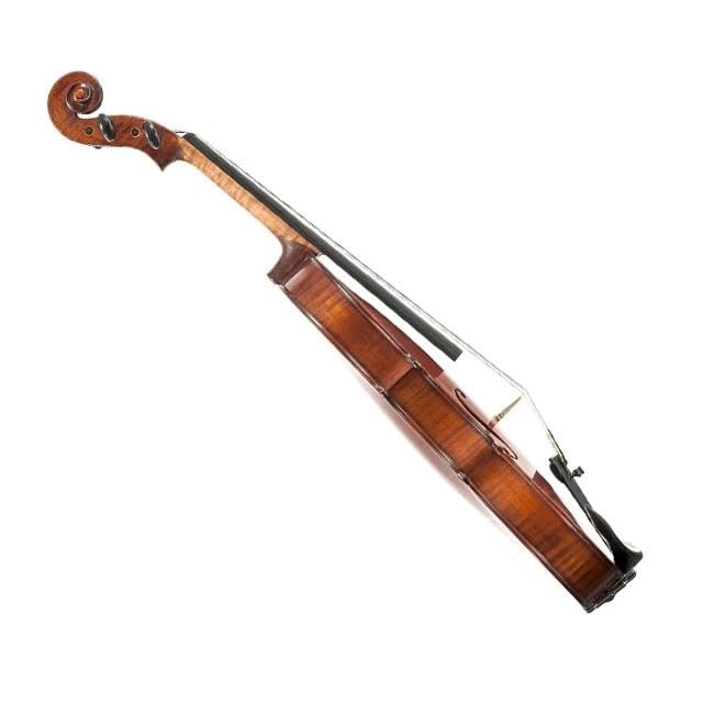 Violine Decke Aus Abgelagerter Fichte Handgefertigt Lackiert Griffbrett Aus Ebenholz Für Violine