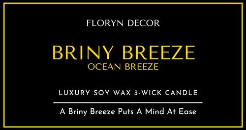 Image of Floryn Decor 3 Wick Candle | Candle for Home Decoration | Luxury Candle for Home Decor | | Burning Time - 40 Hours | Soy Wax Candles Scented (Ocean Breeze)