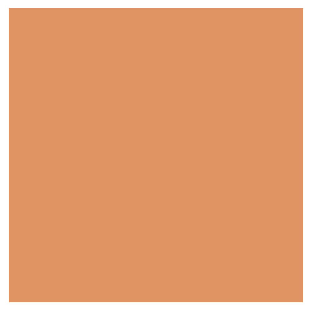 CLARINS EVERLASTING FOUNDATION 113C CHESTNUT 30 ML