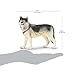 Safari Ltd. Gray Wolf Toy Figurine - Detailed 4.8