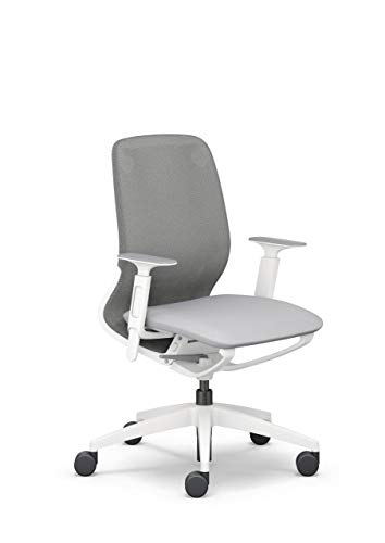 Sedus se:Motion Net, ergonomiczne krzesło biurowe do domowego biura, możliwość indywidualnego dopasowania, szary, stelaż: jasnoszary