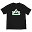 Delta State University/B/Primary Logo/Yt
