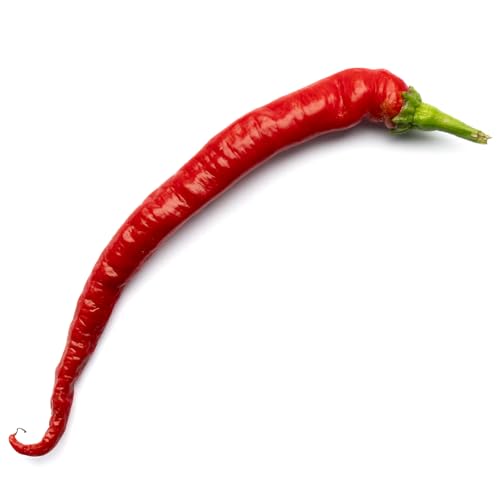 Corbaci x 10 Chilli Seeds