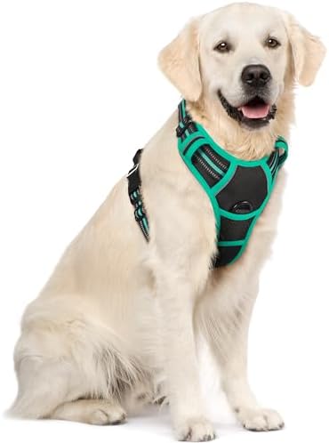rabbitgoo Hundegeschirr Grosse Hunde Anti Zug, XL, Schwarz & Mintgrün | No Pull & Individuell Anpassbar, Atmungsaktiv Gepolstert, 2 D-Ringe, Schnellverschlüsse, Reflektierend für G