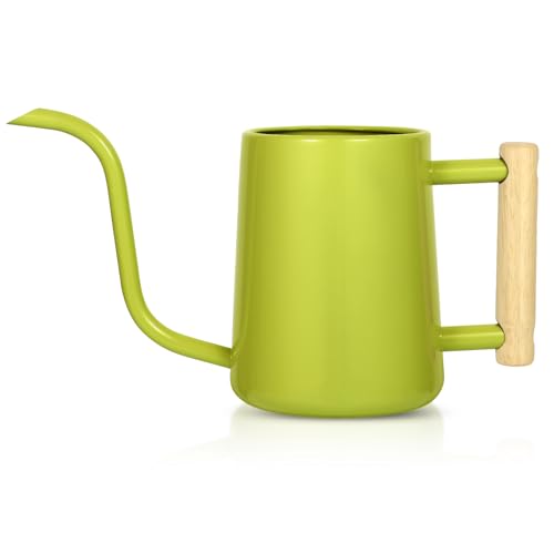 Image of Watering Can Indoor Plants, 35 oz /1000 ml Metal Stainless Steel Watering Can Pot with Long Spout for Indoor House Plants Bonsai Outdoor Garden Flower Decorative (Bright Green)