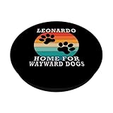 Zoom IMG-1 leonardo home for wayward dogs Zoom IMG-1 leonardo home for wayward dogs