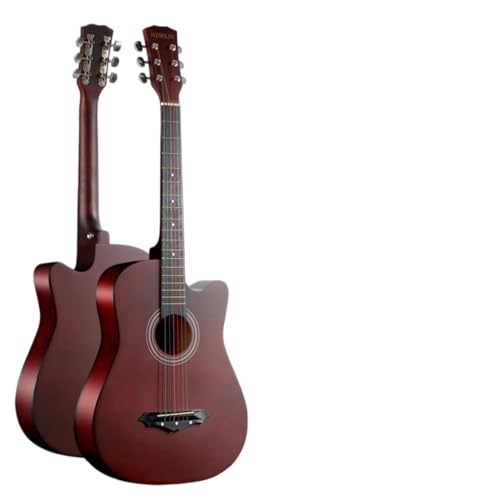 Giawkca SҁAwAl̃AR[XeBbNM^[ASҌ38C`S҃M^[ZbgAwAqAl̗KpM^[AA`[i[ (Cbh)