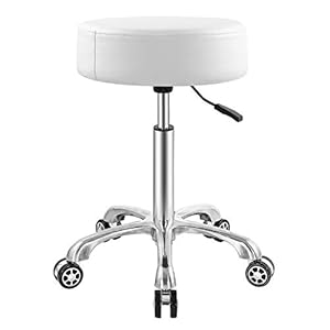 Professional Swivel Rolling Stool Adjustable Height Hydraulic Stool with Wheels for Clinic Dentist Spa Massage Salons Studio (White)