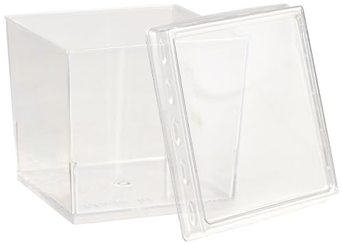 Blue Sky MiniWare Square Clear Plastic Cups with Lids (10ct) - 5oz Disposable Party Drinkware, Perfect for Events and Home Use