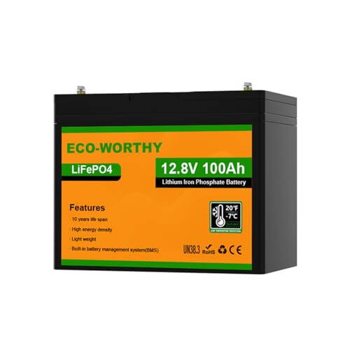 ECO-WORTHY Lithium Batterie 12v 100ah mit BMS Low Temperature Schutz und Max.15000 Zyklen, 1280Wh LiFePO4...