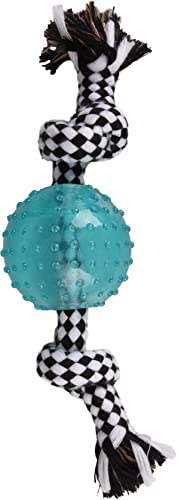 Flamingo F DJENGO Dog Toy Rope with TPR Ball, Blue, 23 cm, Do not use it
