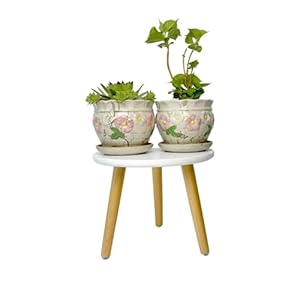 Wooden Plant Stand – Indoor Flower Pot Holder, Modern Side Table for Home Decor, Small Plant Shelf 22 x 28cm