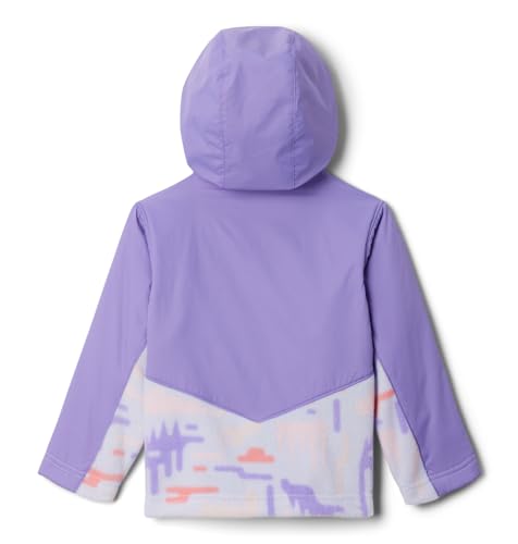 Image of Columbia Kids Steens Mt Ii Overlay Hoodie (toddler)