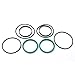 Jetuplusllc New for Mercury Verado Seal Kit Steering Cylinder 8M0045604 896173A01 FSM035