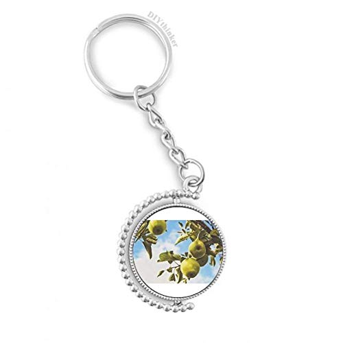 Porte-clé rotatif original motif poire une idée cadeau utile