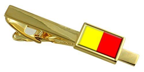 Bandera de Orleans pasador de corbata dorado para trajes masculinos