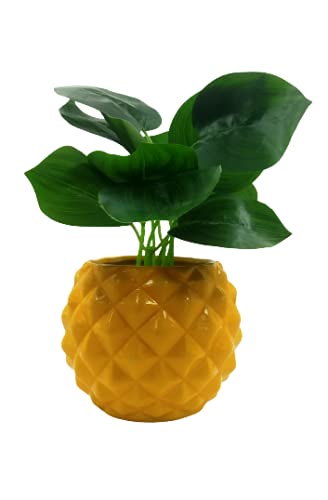 See full amazon price history chart for Captech Ceramic Flower Plants Pot gamla 5 inch (Color Yellow) Captech Ceramic Flower Plants Pot gamla 5 inch (Color Yellow) (B095SV5QZK) Amazon Price History, Amazon Price Tracker