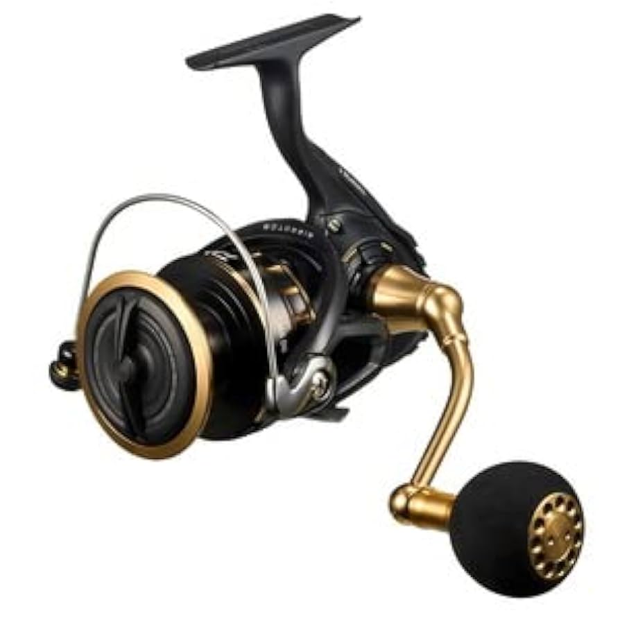 ダイワ　23BG SW 6000D-P Daiwa Spinning Reel 23BG SW 6000D-P : Amazon.ca: Sports