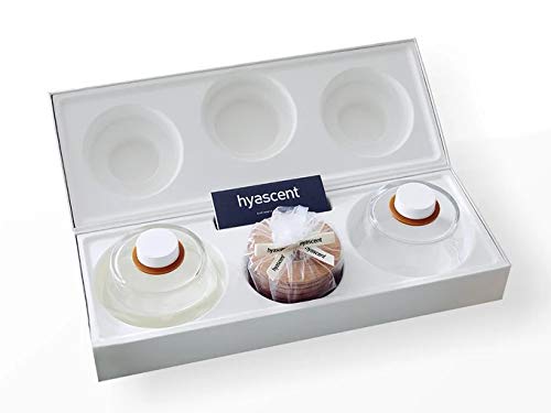 Laboratorio Olfattivo Zen Zero Ginger Diffuser Refill with Sticks 500ml