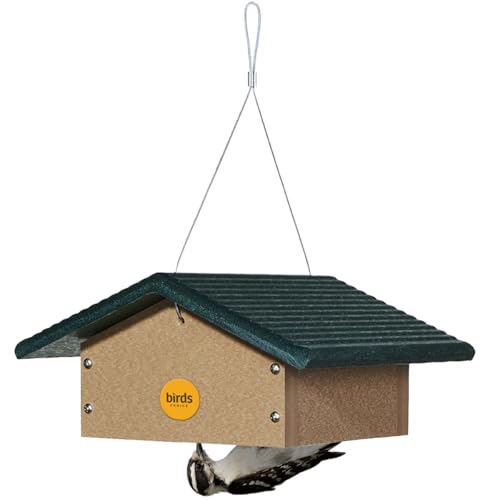 Birds Choice Upside Down Suet Feeder, Holds 1 Suet Cake