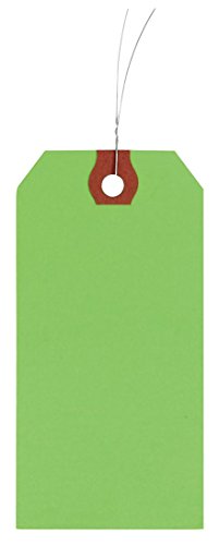 Wire Tag, Paper, Blank, PK1000