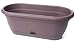 Bloem Living LWB1856 Lucca Self-Watering Window Box, 18-Inch, Exotica