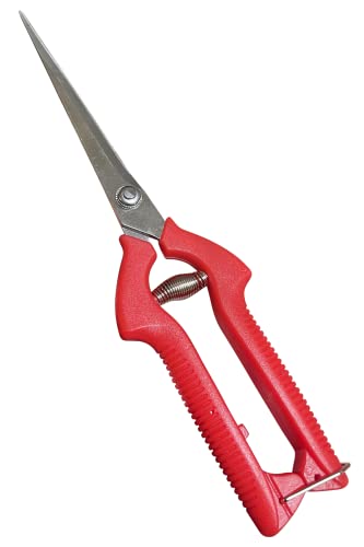 Garden Guru Extra Long Stainless Steel Pruner Pruning Shears Clippers Snips &ndash; Sharp Bonsai Cutter...