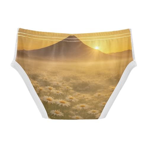 GuoChe Toddler Training Underwear Boys Cotton White Daisy Field Landscape in Sizes 2T,3T, 4T, 5T, 6Y and 8Y2
