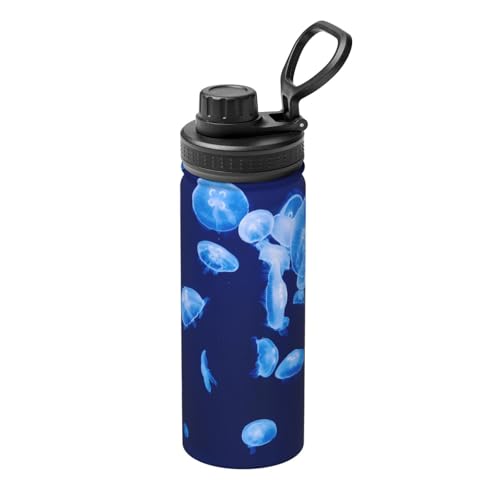  C NQ C̓ lCr[ F XeX{g @r 500ml  ۗۉ ^fM X|[c{g e nht ^ Rh~  oR AEghA ʋ ʊw