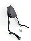 R18 (2020-2022) Respaldo Pasajero Sissy Bar Cojín Cojín Agarre Mango Motocicleta Cruiser Bike Compatible con BMW R18