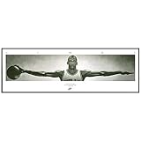 michael jordan wings poster frame  Close Up Michael Jordan Wings - gerahmt Rahmenfarbe Anthrazit-Metallic