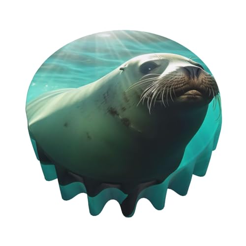 Nappe tendance et durable de 60 pouces imprimée mer et phoque - 4